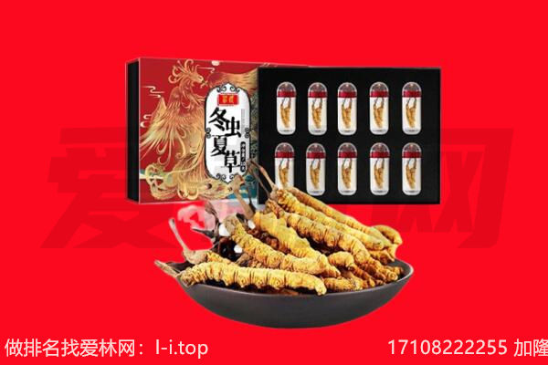 红河屏边县回收虫草.jpg